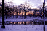 Sunset at Willoway Brook, Morton Arboretum, Lisle, Illinois