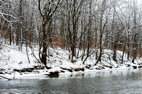 Trees and Snow, West Branch of DuPage River, Naperville, Illinois