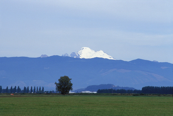 Mount Baker, La Conner, Washington