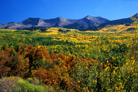 Fall Color, County Road 12 West of Crested Butte, Colorado