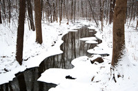 Hammel Creek, Trees, and Snow, Hammel Woods Forest Preserve, Shorewood, Illinois