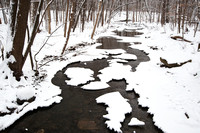 Snow on Hammel Creek, Hammel Woods Forest Preserve, Shorewood, Illinois