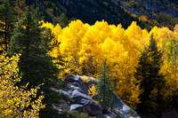 Aspens, Mountain, and Rock, State Route 82, Colorado