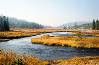Lewis River and Marsh, Yellowstone National Park, Wyoming