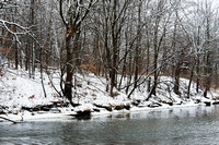 Trees and Snow, West Branch, DuPage River, Naperville, Illinois