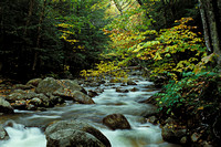 Fall Color Along a Stream, White Mountain National Forest, New Hampshire