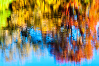 Tree Reflections, Lake Marmo, Morton Arboretum, Lisle, Illinois