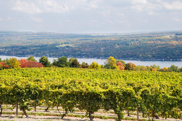 Konstantin Frank Winery, Keuka Lake, New York