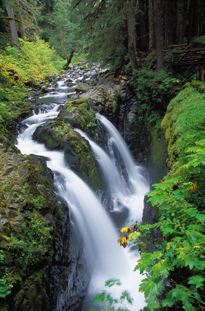 Sol Duc Falls, Olympic National Park, Washington