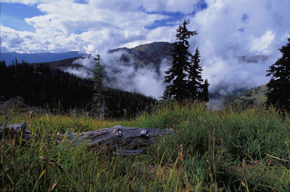 Hurricane Ridge, Olympic National Park, Washington